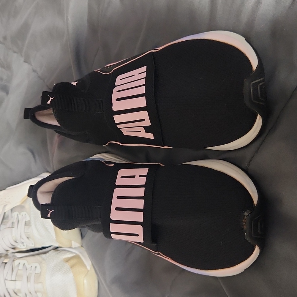 Puma